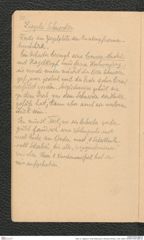 Seite 12, Tagebuch "Groß-Weikersdorf | Wetzdorf (hinten!), Tulln, Kiblitz" (NHMW-PRAE-BBB-32)